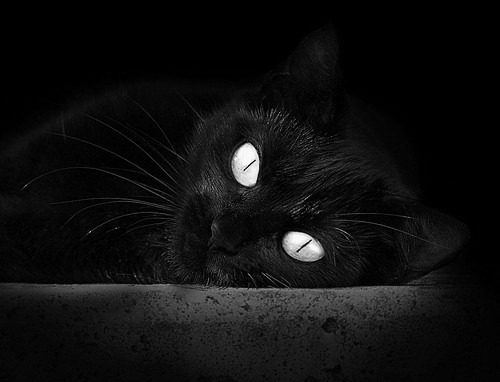 详细阅读:爱游戏官方网站-《Dota 2大洲争霸赛,强队突围谁与争锋》,dota2亚洲挑战赛 爱游戏官方网站-《Dota 2大洲争霸赛,强队突围谁与争锋》,dota2亚洲挑战赛