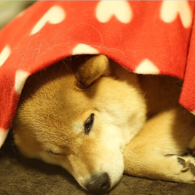 爱游戏体育平台-【新手指南】球桌选择与基础技巧入门推荐,球桌是什么意思