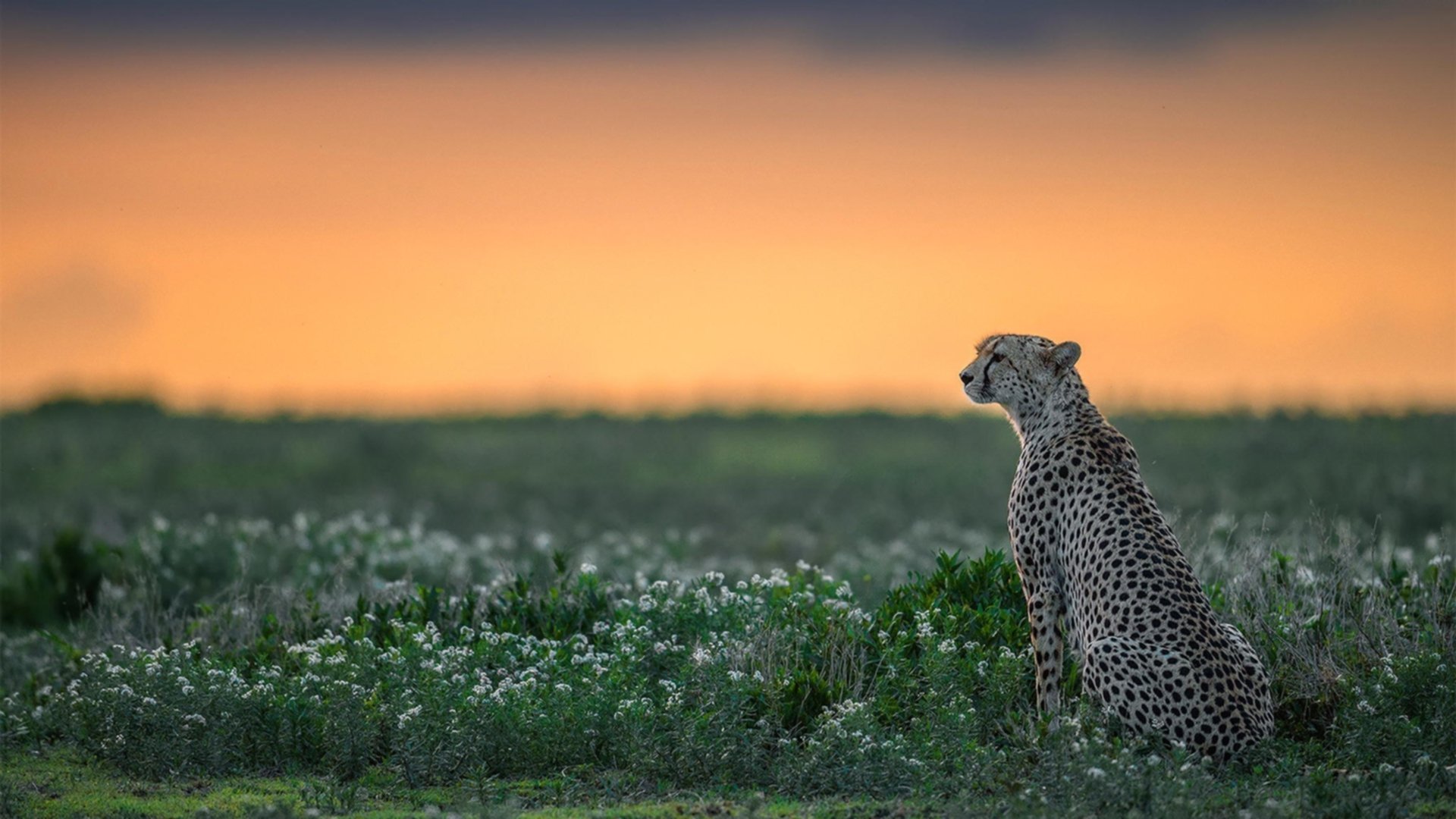 详细阅读:爱游戏体育-【超级逆转】奥沙利文:在赛场上演的逆风翻盘,奥沙利文70分逆转 爱游戏体育-【超级逆转】奥沙利文:在赛场上演的逆风翻盘,奥沙利文70分逆转