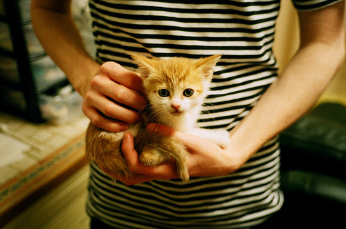 详细阅读:AYX体育-_青少年极限攀爬赛:从低难度到高挑战_,青少年攀岩比赛规则 AYX体育-_青少年极限攀爬赛:从低难度到高挑战_,青少年攀岩比赛规则