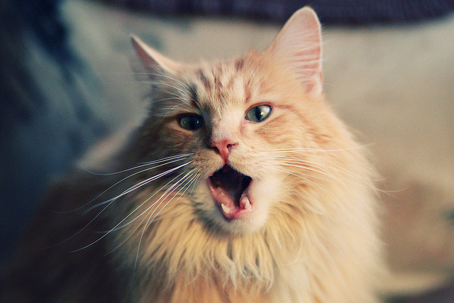 详细阅读:爱游戏-中国足球市场潜力巨大,投资热情高涨,中国足球产业规模 爱游戏-中国足球市场潜力巨大,投资热情高涨,中国足球产业规模