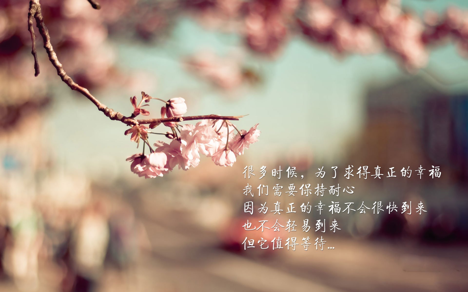 详细阅读:AYX GAME-“团队力量:幕后英雄的坚韧不拔”,团队的精英 AYX GAME-“团队力量:幕后英雄的坚韧不拔”,团队的精英