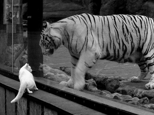 AIYOUXI.COM-传奇纪录持续打破：哪些纪录即将被刷新？，传奇系列纪录片