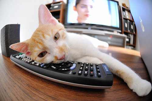 爱游戏下载-《粉丝互动:线上线下粉丝盛会精彩纷呈》,粉丝线下活动策划