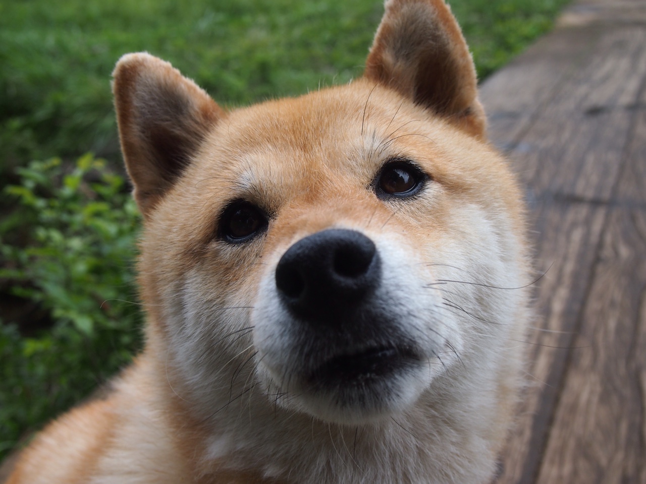 爱游戏中国官方网站平台-意甲:国际米兰2-2战平拉齐奥,卢卡库和卡拉莫扳平比分,卡卢卢 米兰