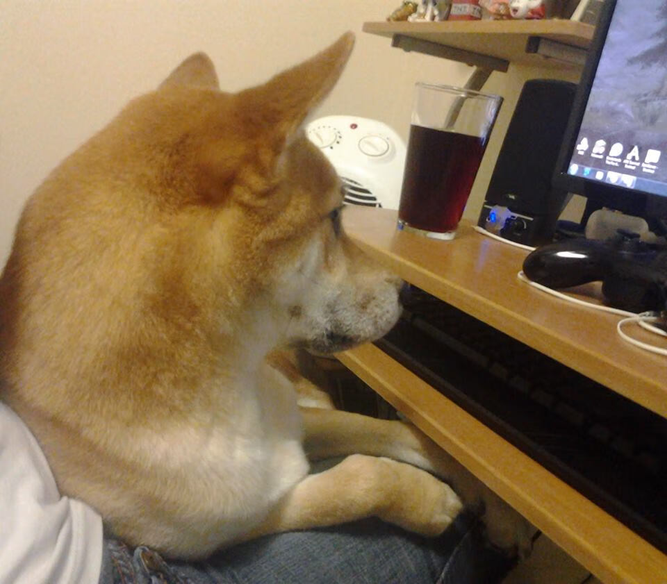 爱游戏娱乐平台-未来之星！青少年篮球“杯赛”在广东举办，助力全国青训发展，2021年全国青少年篮球锦标赛