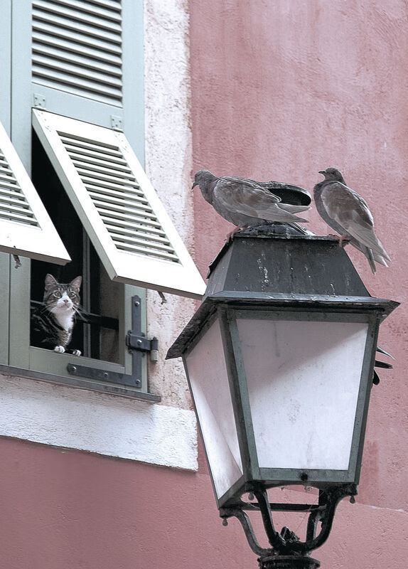 爱游戏app下载-纪录被打破：当今联盟最“万能”的球员是谁？，联盟最强球员