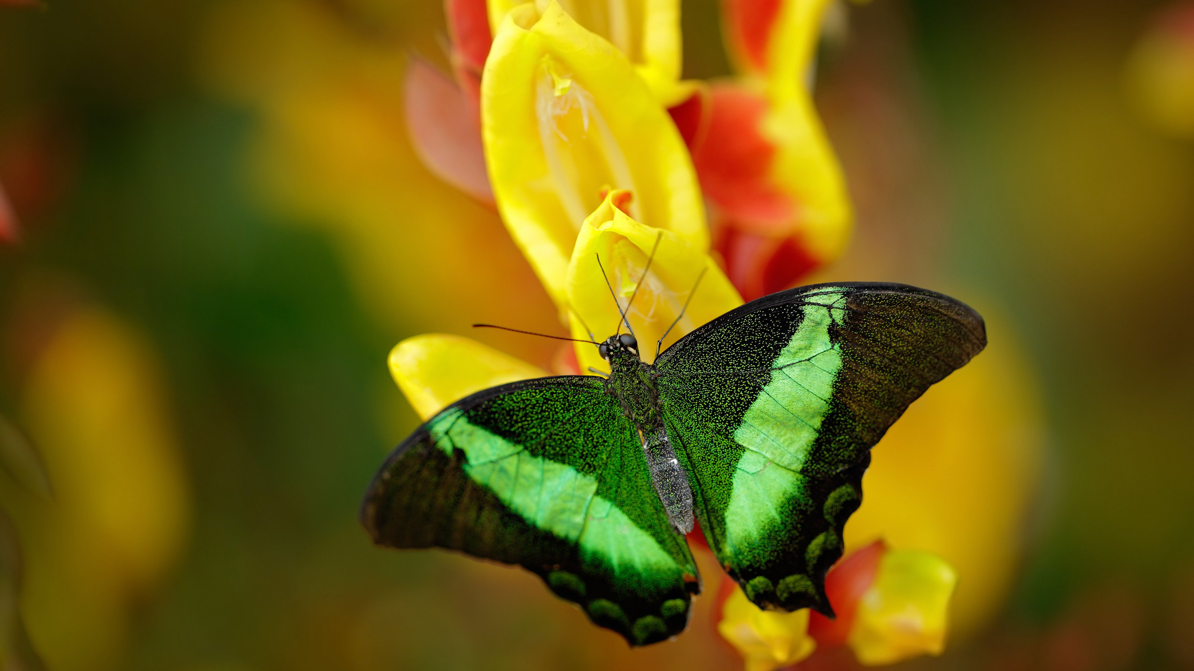 爱游戏体育APP下载-青少年足球“创新体验”项目在全国各地火热开启，普及度不断提升