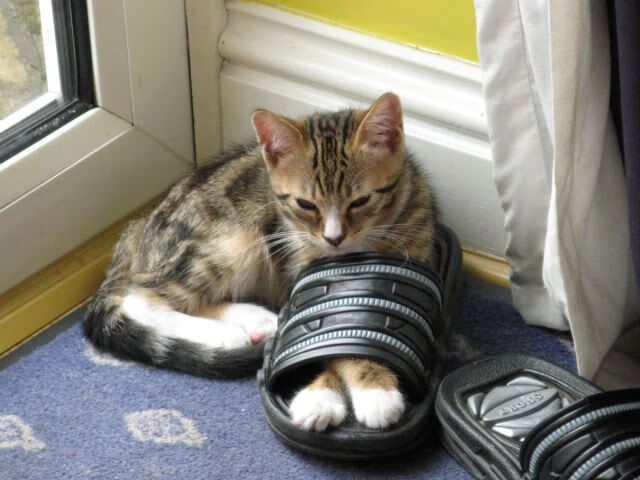 爱游戏app下载-中超联赛北京国安宣布签约新外援，2021中超北京国安主场在哪