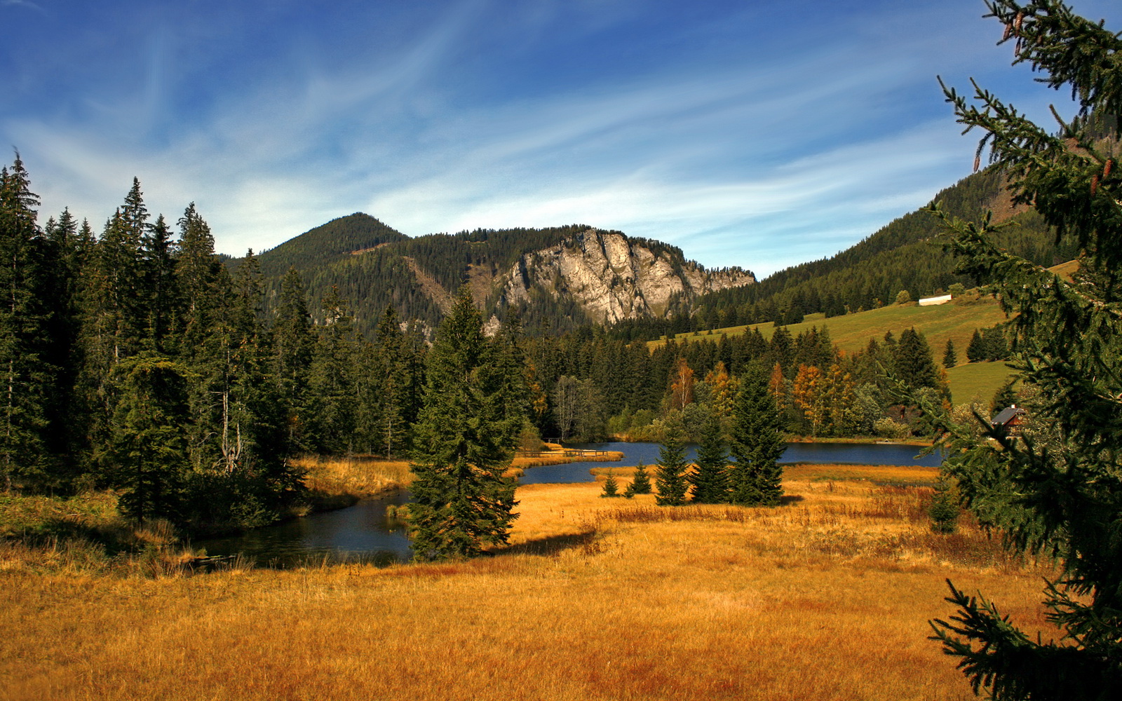 爱游戏平台-“东安湖赛场:挑战极限,跑酷运动员创造新记录”