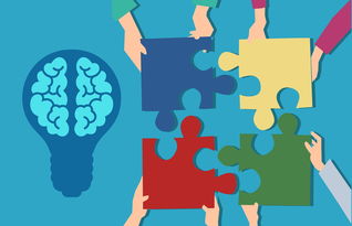 AYX体育官网-中小学课程内容创新，中小学创新教育