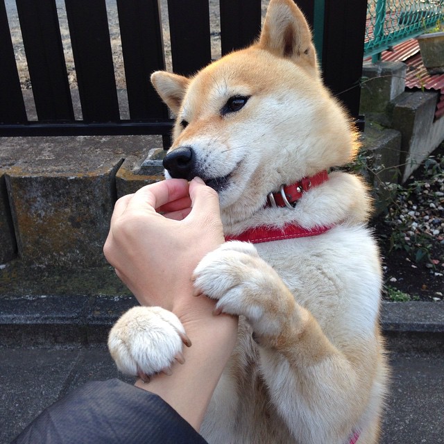 AYX SPORTS-中超比赛传控流畅度评分模型,中超比赛传控流畅度评分模型有哪些