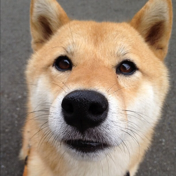 爱游戏平台-丁俊晖透露赛前习惯用轻音乐舒缓情绪，丁俊晖出场音乐