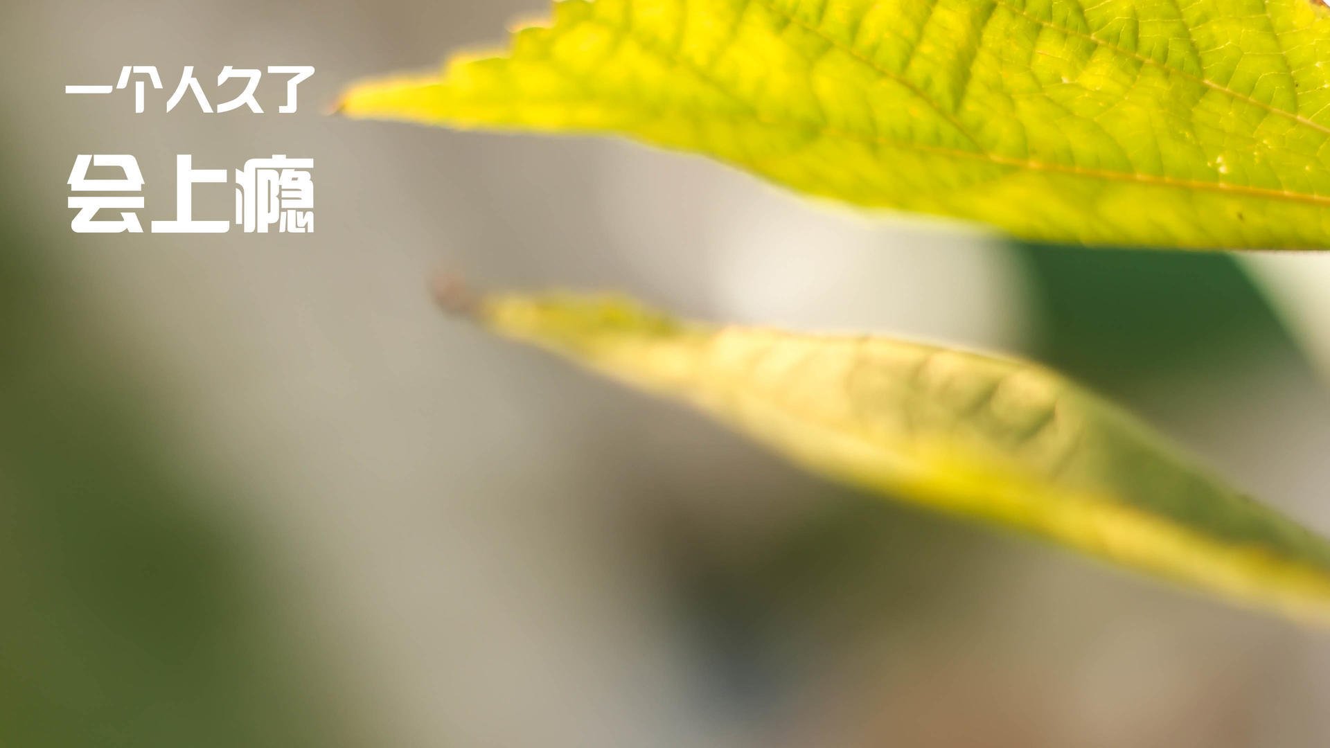 -德甲青训项目中引入视觉注意力训练提升空间感知能力