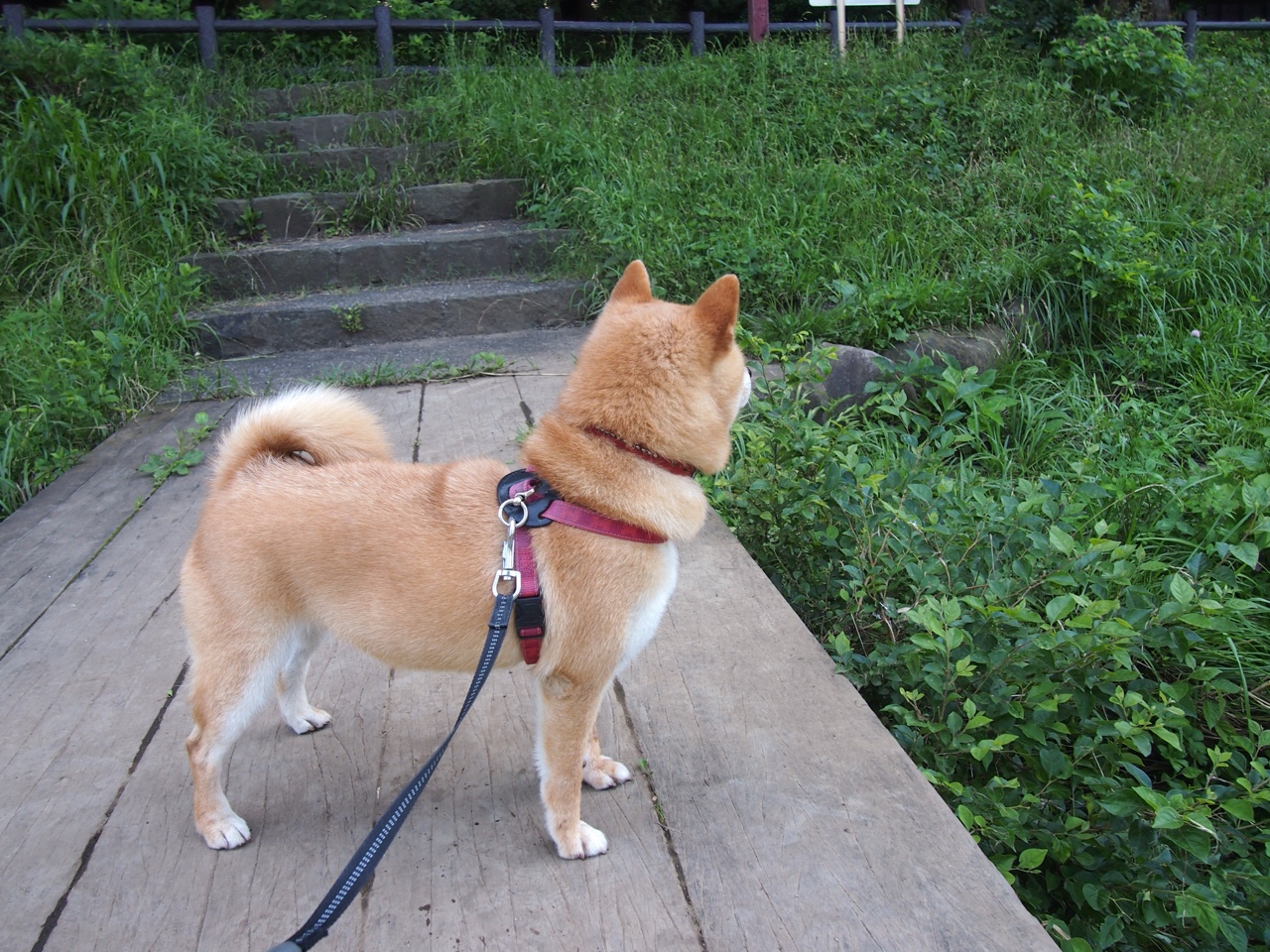 详细阅读:爱游戏体育-多地推动篮球进校园活动普及篮球文化扎根基层,校园篮球文化建设 爱游戏体育-多地推动篮球进校园活动普及篮球文化扎根基层,校园篮球文化建设