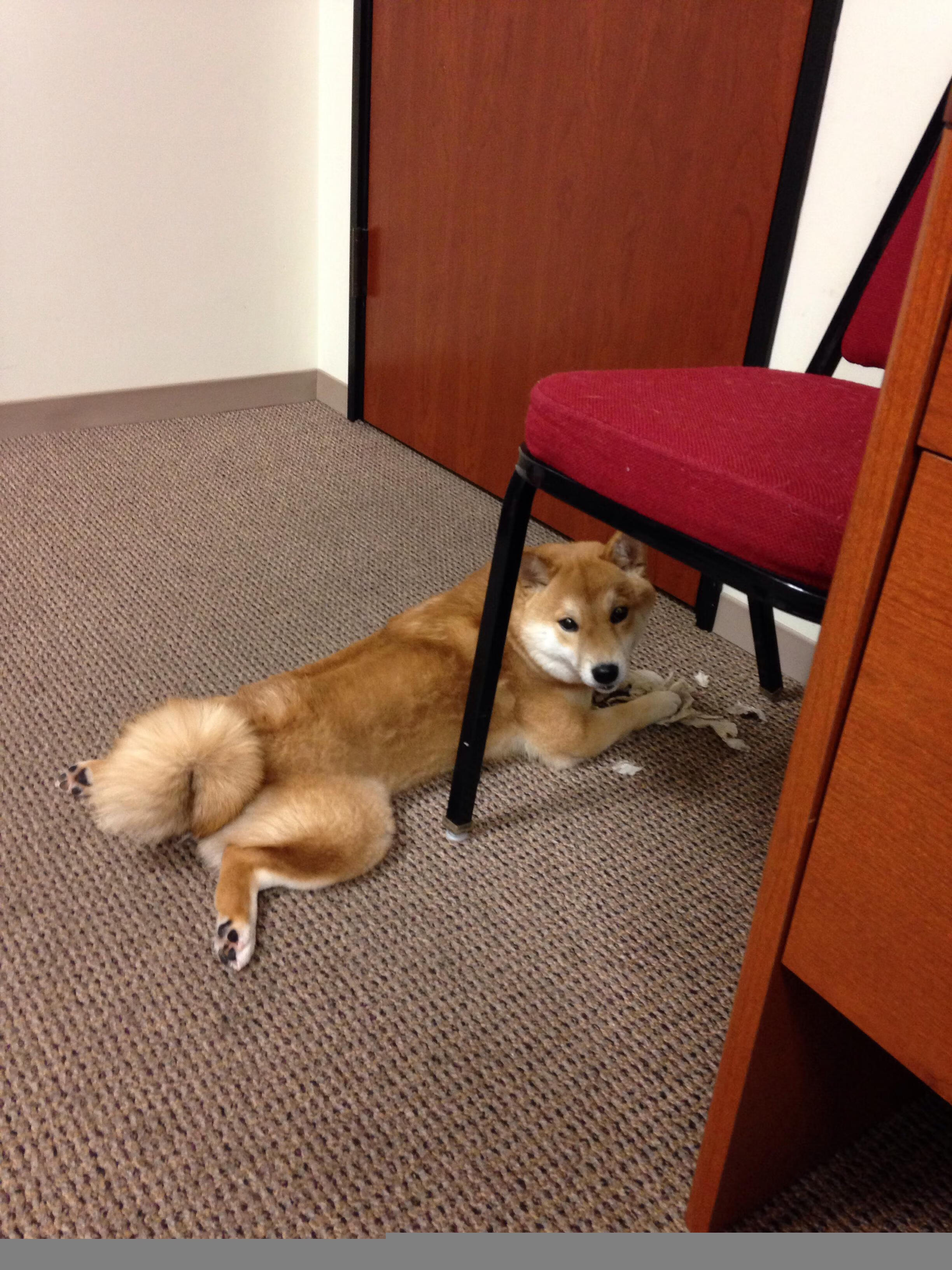 爱游戏app下载-篮球专项技能训练规范体系构建,篮球专项技能训练规范体系构建方案