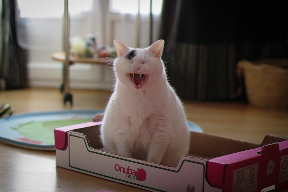 爱游戏平台-巴西队在南美预赛中领先,晋级几乎板上钉钉