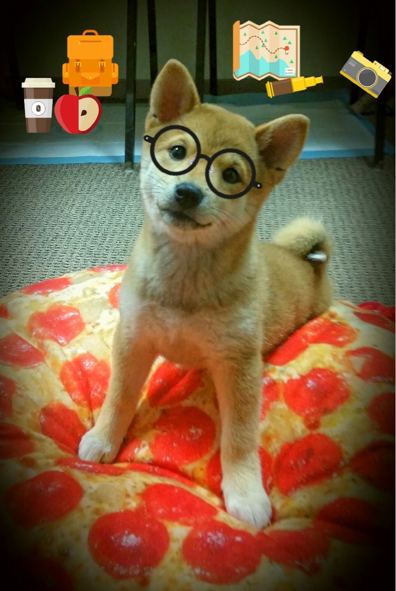 AYX GAMING-落后局面下球队众志成城完成逆转激励人心,落后两球逆转