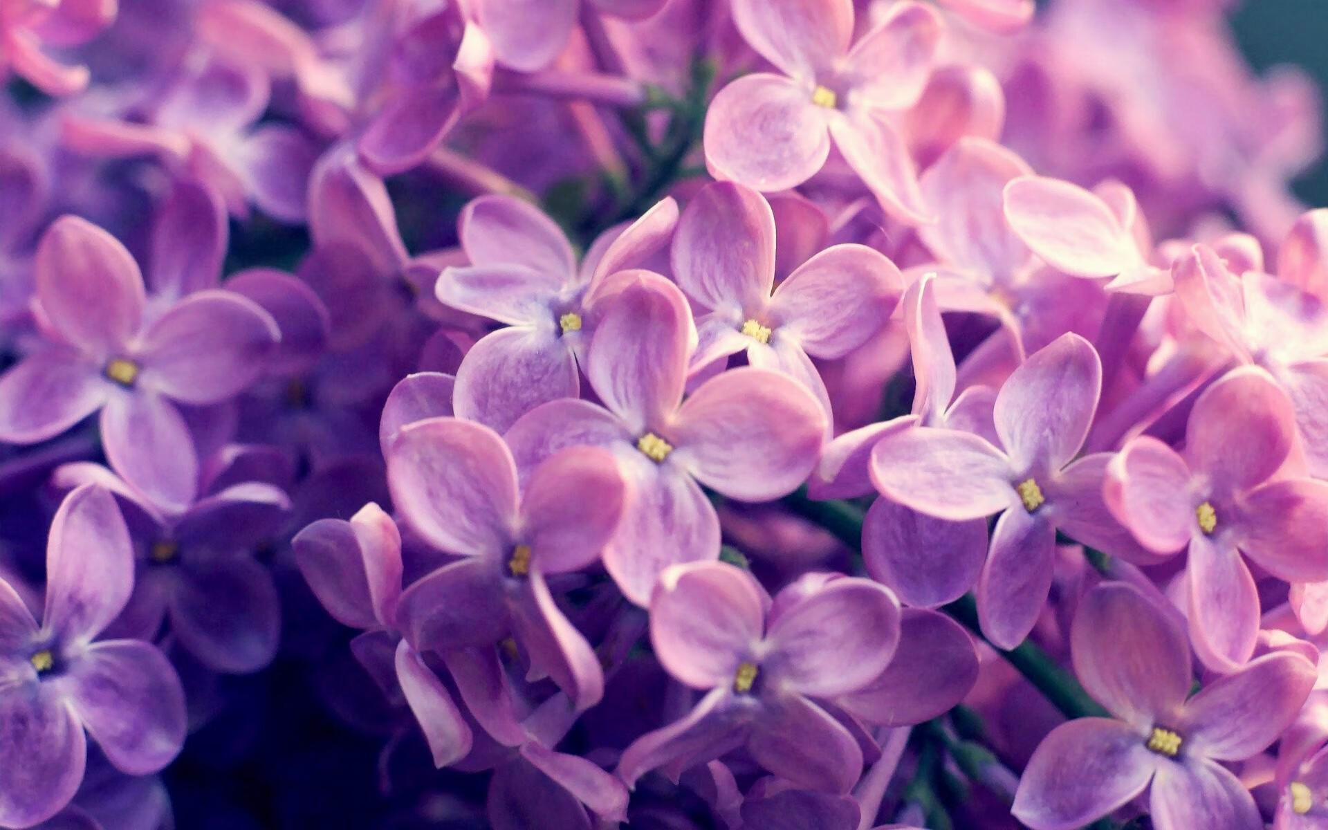 详细阅读:爱游戏 电竞-青少年篮球精英营引入多语种教练提升语言适应力,青少年篮球训练营的简介 爱游戏 电竞-青少年篮球精英营引入多语种教练提升语言适应力,青少年篮球训练营的简介